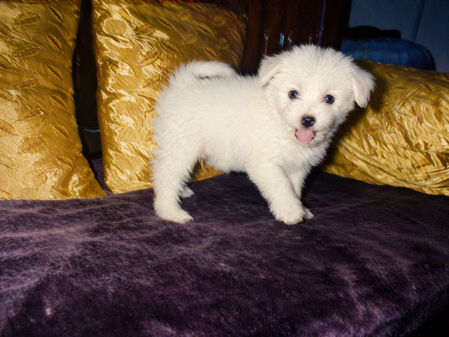 After — AI upscaled result